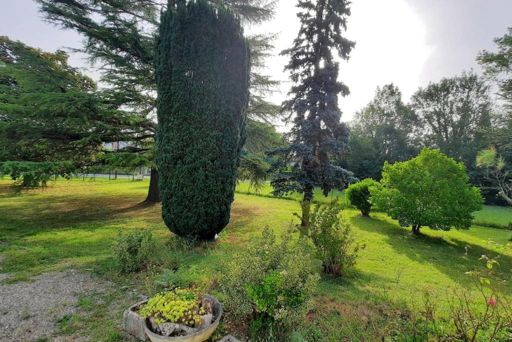 La Maison De Lili Colayrac-Saint-Cirq