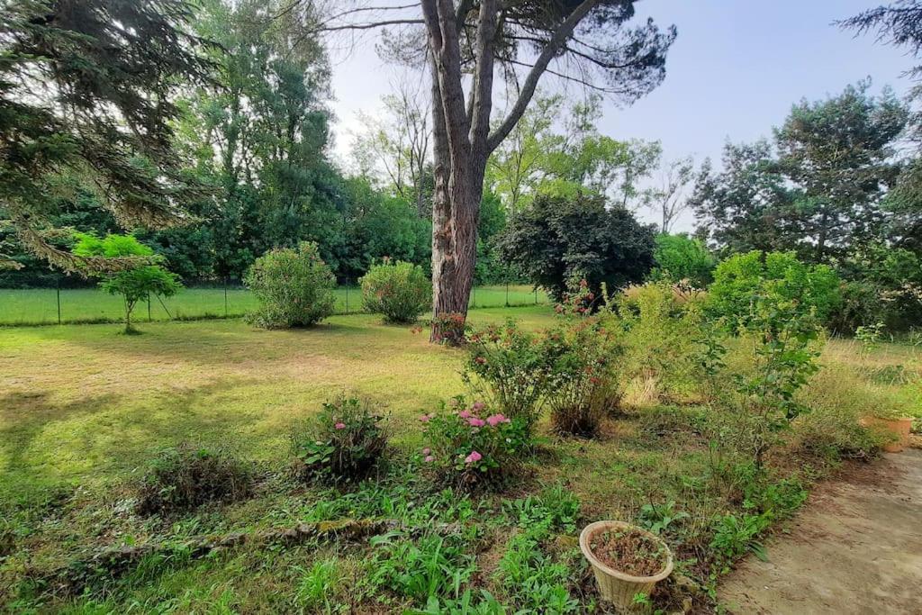 La Maison De Lili Colayrac-Saint-Cirq