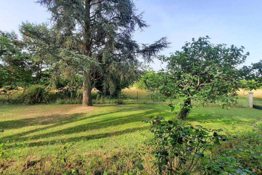 La Maison De Lili Holiday home Colayrac-Saint-Cirq